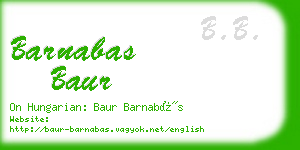 barnabas baur business card